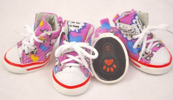 Sapatinho Cão e Gato